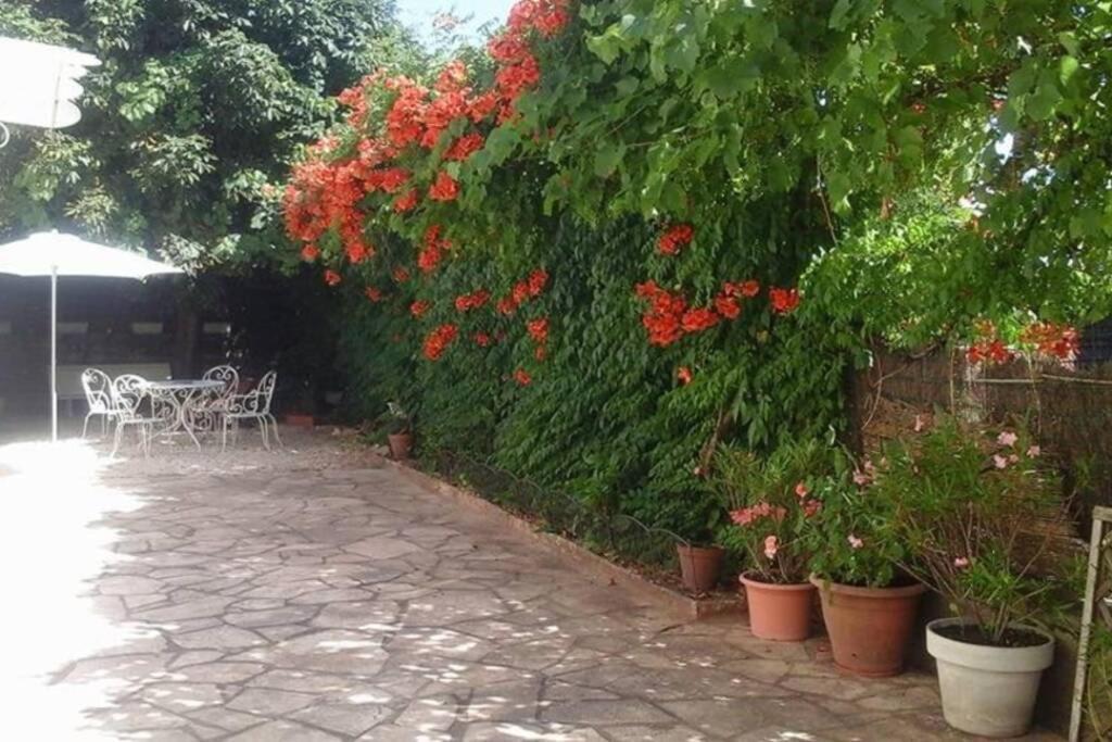Maison De Charme En Perigord 10 Personnes La Maison D'Albertine Peyrillac-et-Millac Dış mekan fotoğraf